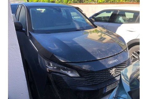 2021 Peugeot 3008, Dyzelinas